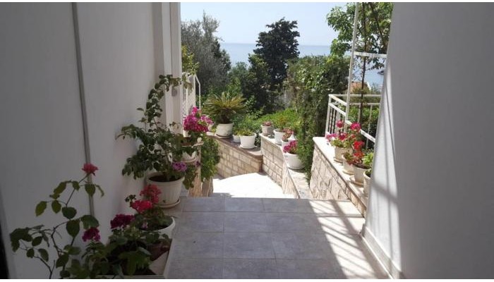 Sun Rose Apartments poza 11